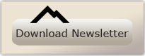 View The Newsletter Here